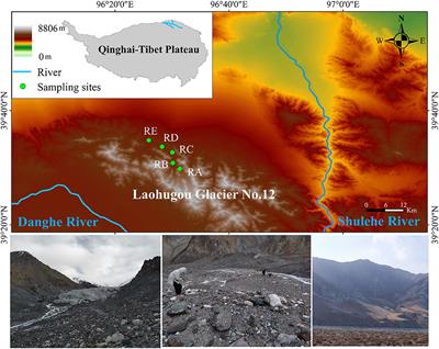 Niche-mediated bacterial community composition in continental glacier alluvial valleys under cold and arid environments